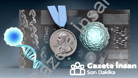 Nobel’li Türk’ten Kanser Tedavisinde Devrim: Hücreyi Aç Bırakıyor!