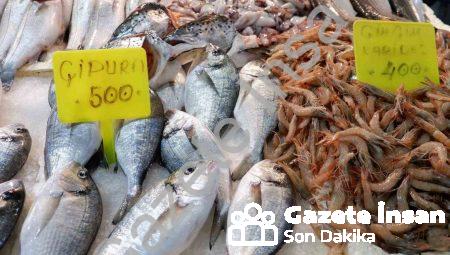 Foça Balık Hali’nde Kış Bereketi: Sardalya ve Uskumru Zamanı