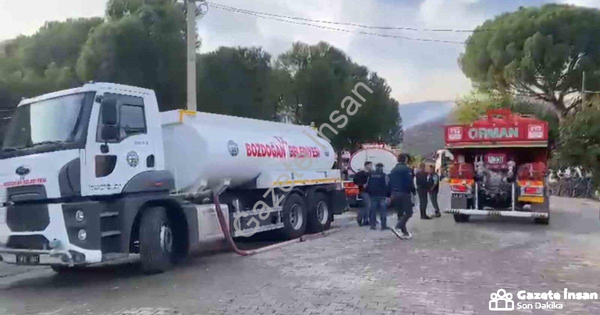 "Aydın Bozdoğan'da Zirai Yangın Ormana Sıçradı: Ekipler Seferber Oldu" başlıklı haber için fotoreali