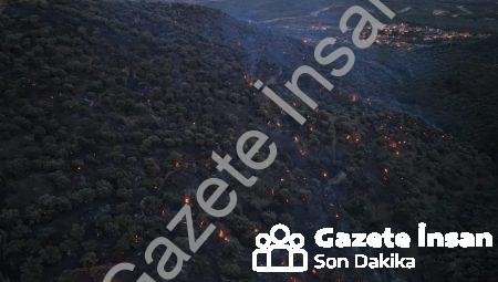 Aydın Bozdoğan’da Orman Yangını Paniği: Alevler Kontrol Altında