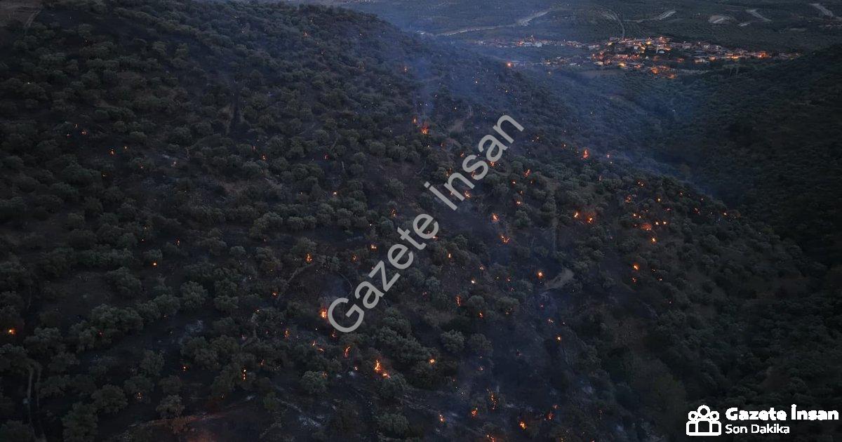 "Aydın Bozdoğan'da Orman Yangını Paniği: Alevler Kontrol Altında" başlıklı haber için fotorealistik,