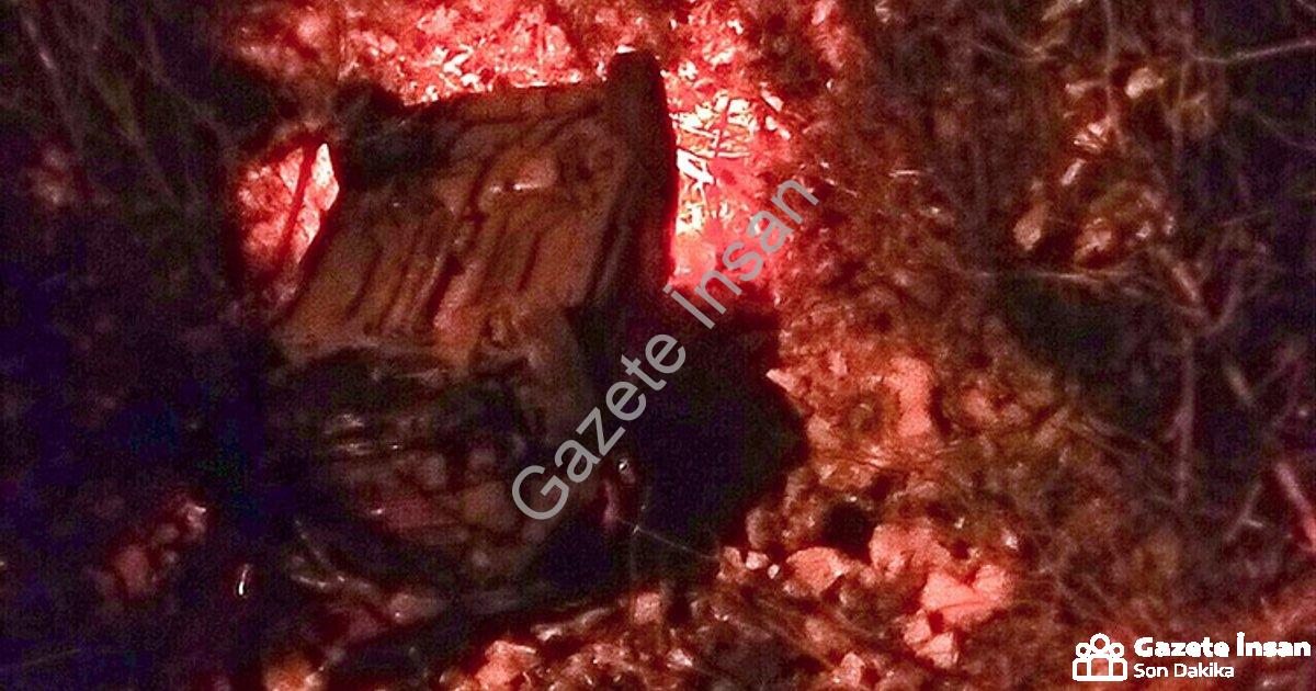 "Muğla Menteşe'de Korkutan Kaza: Araç Dereye Uçtu!" başlıklı haber için fotorealistik, profesyonel b