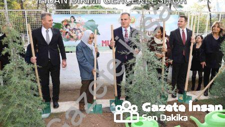 Muğla’da Öğretmenler İçin 16 Bin 453 Fidan Dikimi Gerçekleşiyor