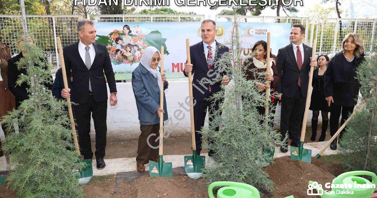 "Muğla'da Öğretmenler İçin 16 Bin 453 Fidan Dikimi Gerçekleşiyor" başlıklı haber için fotorealistik,