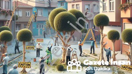 Afyonkarahisar’da Cumhuriyet Mahallesi için ağaç budama uyarısı