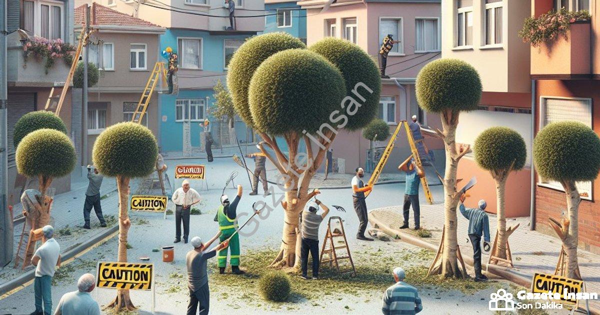 "Afyonkarahisar’da Cumhuriyet Mahallesi için ağaç budama uyarısı" başlıklı haber için fotorealistik,