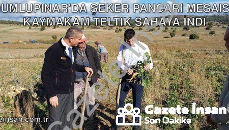 Dumlupınar’da Şeker Pancarı Mesaisi: Kaymakam Teltik Sahaya İndi