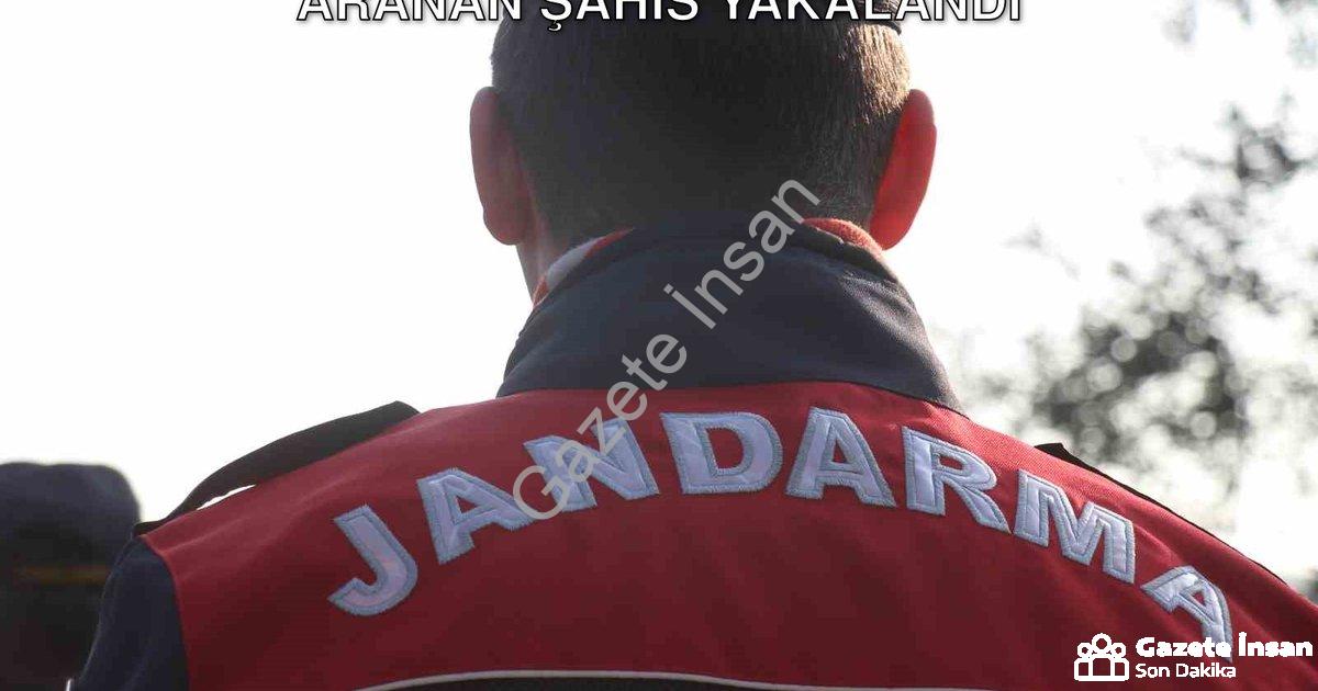 "Aydın'da Jandarmadan Dev Operasyon: 28 Aranan Şahıs Yakalandı" başlıklı haber için fotorealistik, p