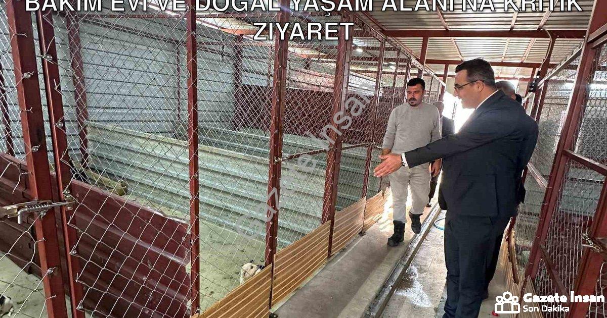 "Sarıgöl Kaymakamı Halil Dalak'tan Hayvan Bakım Evi ve Doğal Yaşam Alanı'na Kritik Ziyaret" başlıklı