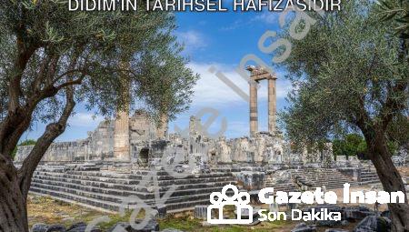 Başkan Gençay Vurguladı: Zeytin Ağacı Didim’in Tarihsel Hafızasıdır