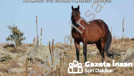 Kumalar Dağı’nda Büyüleyen Manzara: Yılkı Atları ve Bulutların Dansı