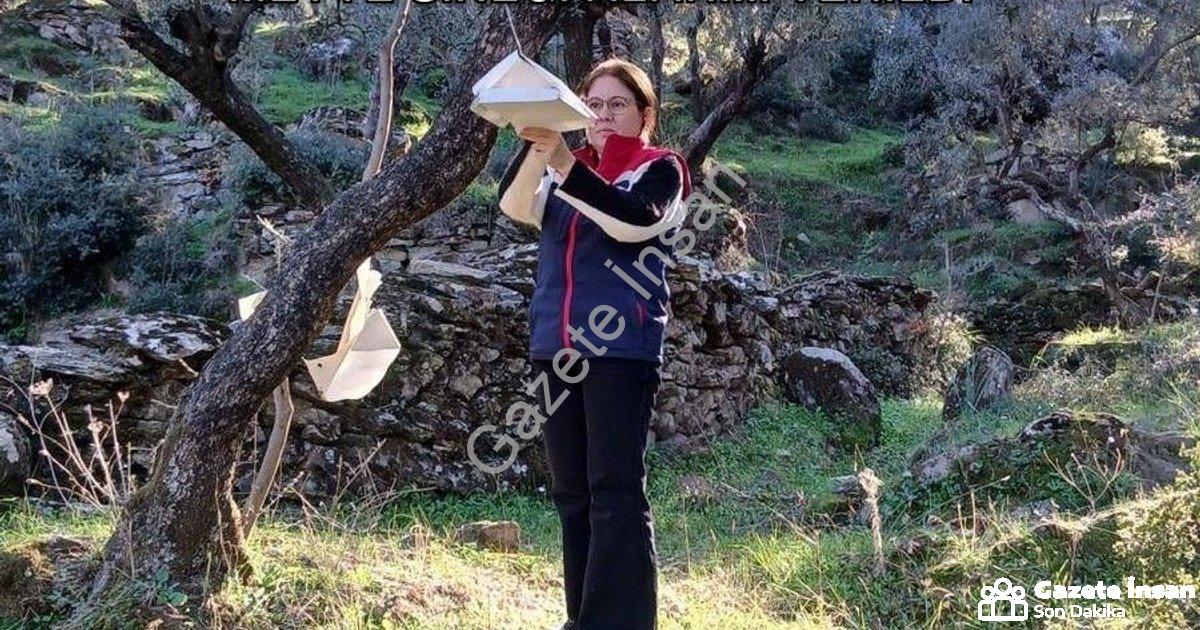 "Söke'de Üreticiye Kritik Uyarı: Akdeniz Meyve Sineği Alarmı Verildi" başlıklı haber için fotorealis