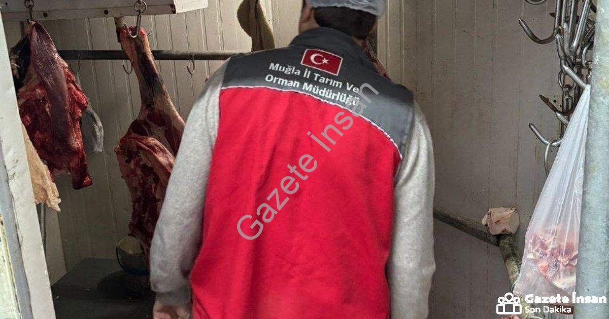 "Menteşe’de Gıda Güvenliği Seferberliği: Kasaplar Mercek Altına Alındı" başlıklı haber için fotoreal