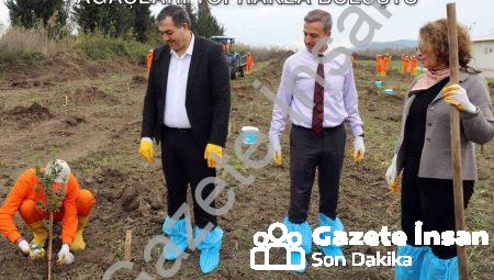 Dalaman Cezaevi’nde Üretim Hamlesi: Sakız Ağaçları Toprakla Buluştu