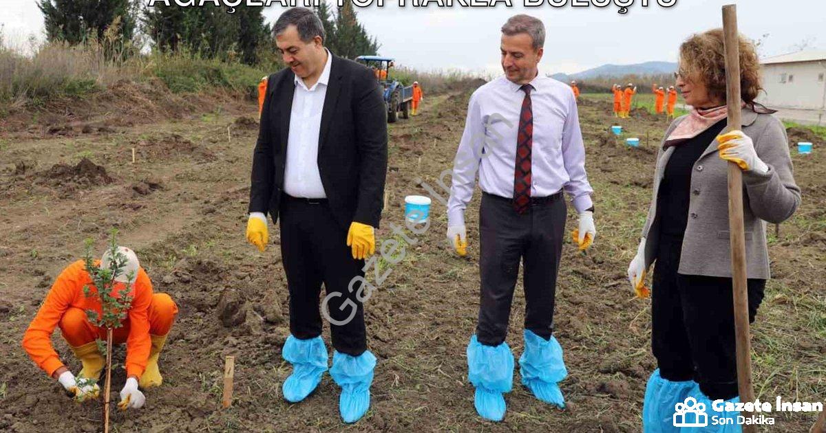 "Dalaman Cezaevi'nde Üretim Hamlesi: Sakız Ağaçları Toprakla Buluştu" başlıklı haber için fotorealis