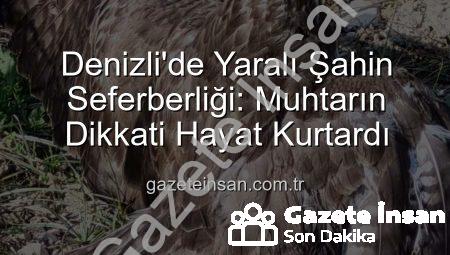 Denizli’de Yaralı Şahin Seferberliği: Muhtarın Dikkati Hayat Kurtardı