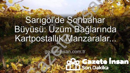 Sarıgöl’de Sonbahar Büyüsü: Üzüm Bağlarında Kartpostallık Manzaralar Eşliğinde Budama Çalışmaları Başladı