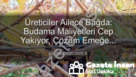 Üreticiler Ailece Bağda: Budama Maliyetleri Cep Yakıyor, Çözüm Emeğe Dönüşüyor