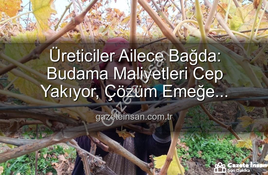 budama maliyeti - Üreticiler Ailece Bağda: Budama Maliyetleri Cep Yakıyor, Çözüm Emeğe Dönüşüyor