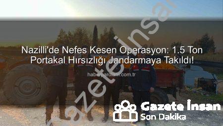 Nazilli’de Dev Portakal Hırsızlığı Jandarmaya Takıldı: 1,5 Ton Ürün Kurtarıldı