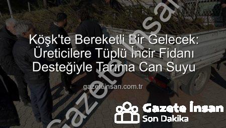 Köşk’te Bereketli Bir Gelecek: Üreticilere Tüplü İncir Fidanı Desteğiyle Tarıma Can Suyu