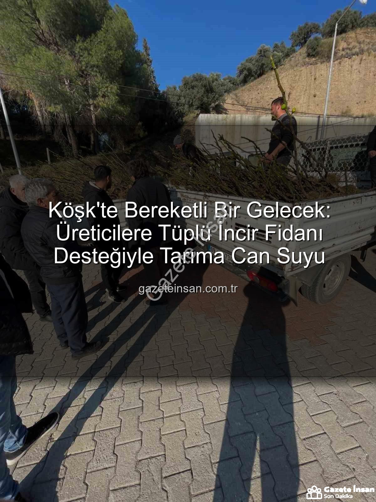 tüplü incir fidanı - Köşk'te Bereketli Bir Gelecek: Üreticilere Tüplü İncir Fidanı Desteğiyle Tarıma Can Suyu