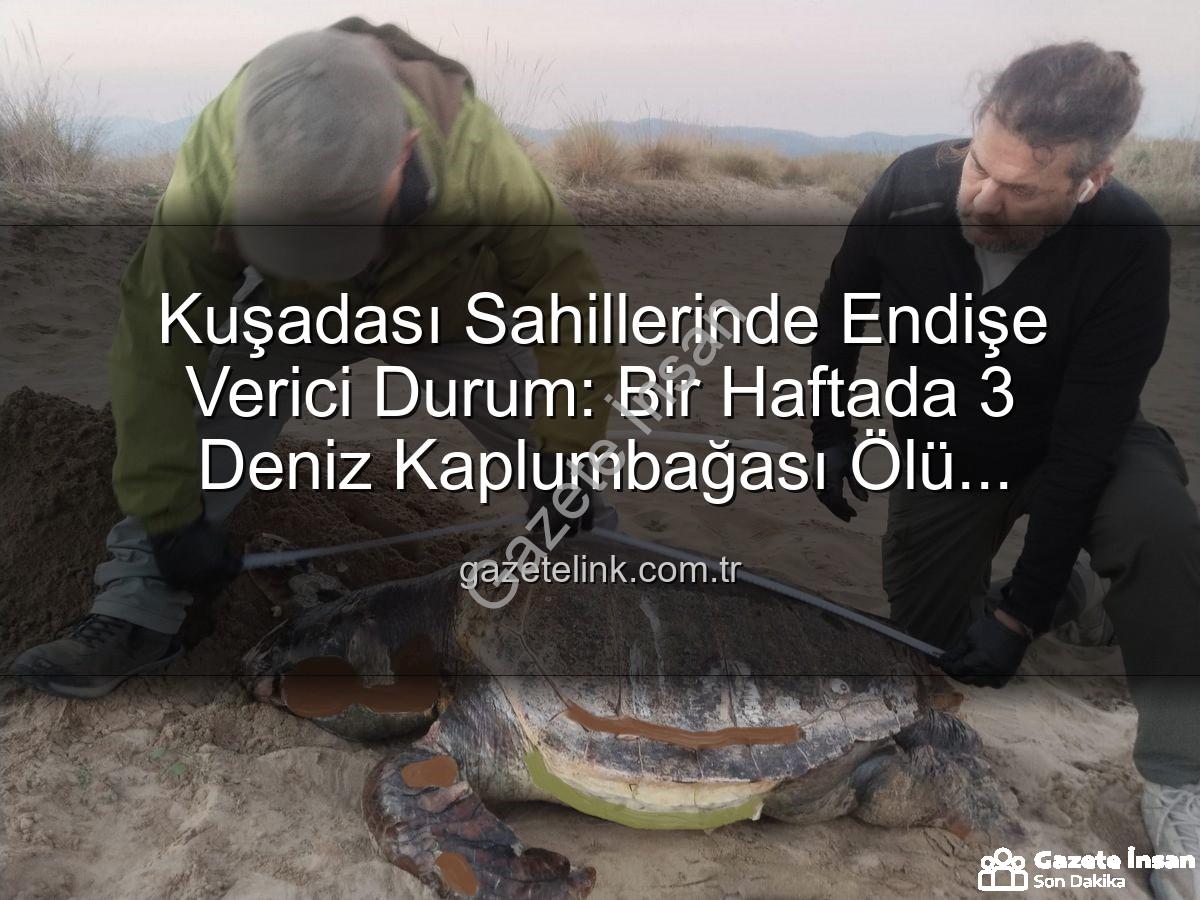 deniz kaplumbağası ölümü - Kuşadası Sahilleri Kararttı: Bir Haftada Üç Deniz Kaplumbağası Ölü Bulundu! Hedef Dışı Av Paniği