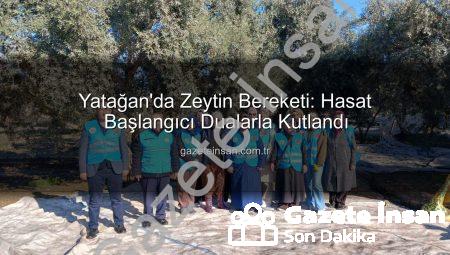 Yatağan’da Zeytin Bereketi: Hasat Başlangıcı Dualarla Kutlandı