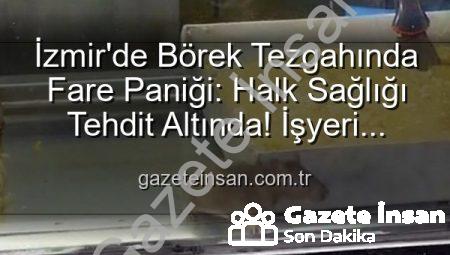 İzmir’de Börek Tezgahında Fare Paniği: Halk Sağlığı Tehdit Altında! İşyeri Mühürlendi