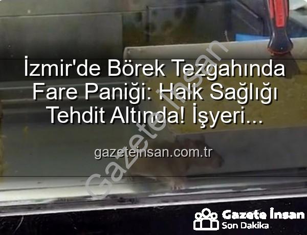 izmir börekçi fare - İzmir'de Börek Tezgahında Fare Paniği: Halk Sağlığı Tehdit Altında! İşyeri Mühürlendi