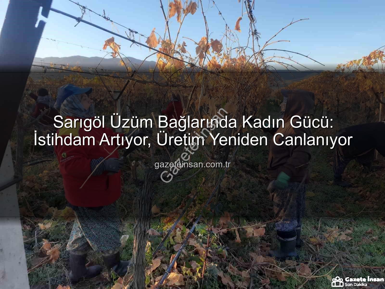 kadın istihdamı - Sarıgöl Üzüm Bağlarında Kadın Gücü: İstihdam Artıyor, Üretim Yeniden Canlanıyor