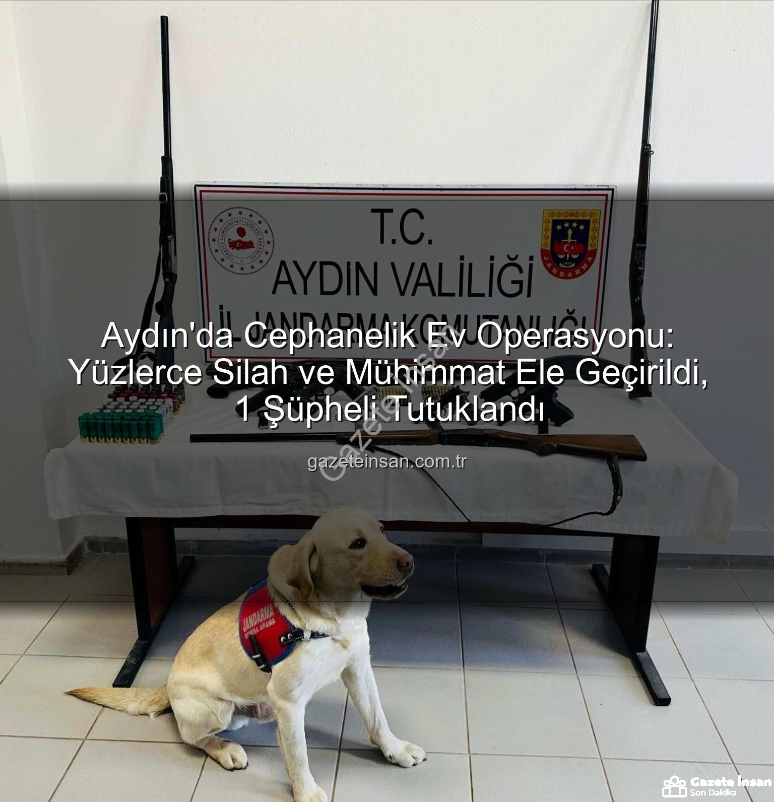 cephanelik ev operasyonu - Aydın'da Cephanelik Ev Operasyonu: Yüzlerce Silah ve Mühimmat Ele Geçirildi, 1 Şüpheli Tutuklandı