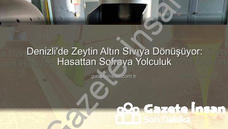 Denizli’de Zeytin Altın Sıvıya Dönüşüyor: Hasattan Sofraya Yolculuk