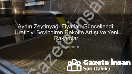 Aydın Zeytinyağı Fiyatları Güncellendi: Üreticiyi Sevindiren Rekolte Artışı ve Yeni Rakamlar
