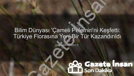 Bilim Dünyası Sevinçle Karşıladı: Çameli’nin Gizemli Bitkisi ‘Çameli Pelemiri’ Botanik Literatürüne Girdi