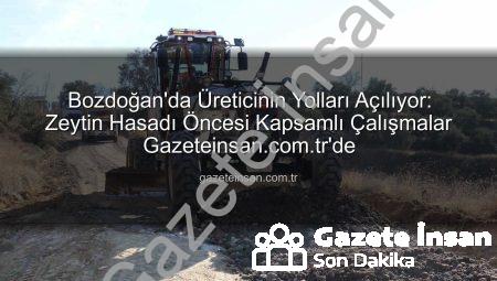 Bozdoğan’da Üreticinin Yolları Açılıyor: Zeytin Hasadı Öncesi Kapsamlı Çalışmalar Gazeteinsan.com.tr’de