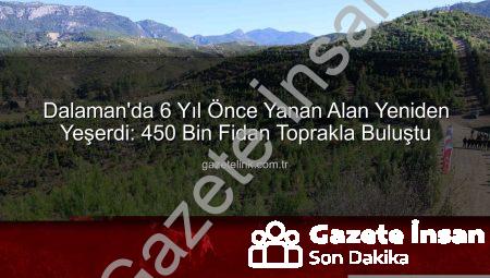Dalaman’da Küle Dönen Ormanlar 6 Yılda Yeniden Yeşerdi: 450 Bin Fidanla Hayat Buldu