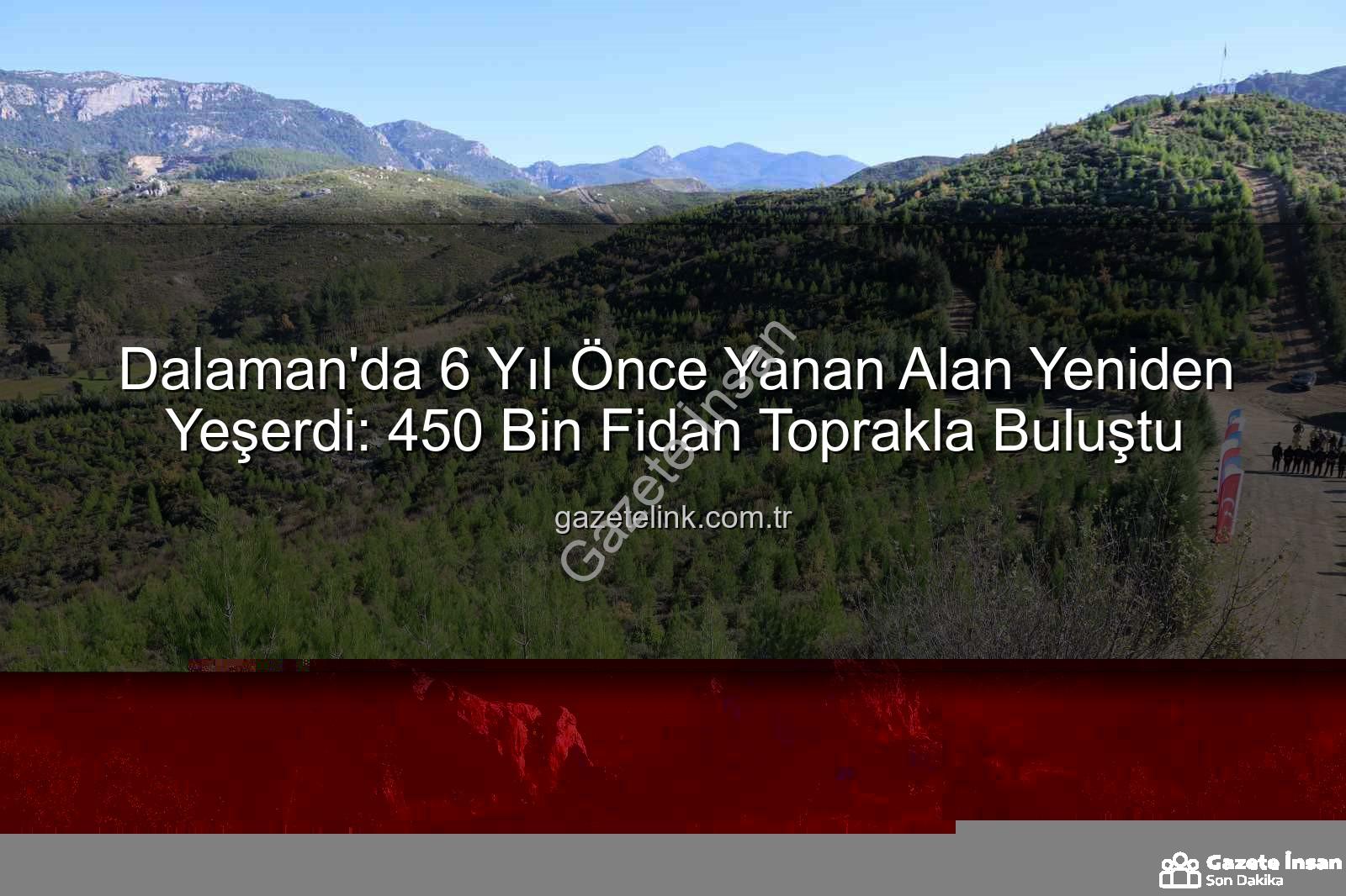 Dalaman ormanları yeniden yeşerdi - Dalaman'da Küle Dönen Ormanlar 6 Yılda Yeniden Yeşerdi: 450 Bin Fidanla Hayat Buldu